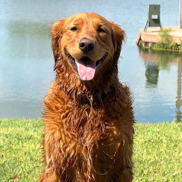 Chief Barketing Officer